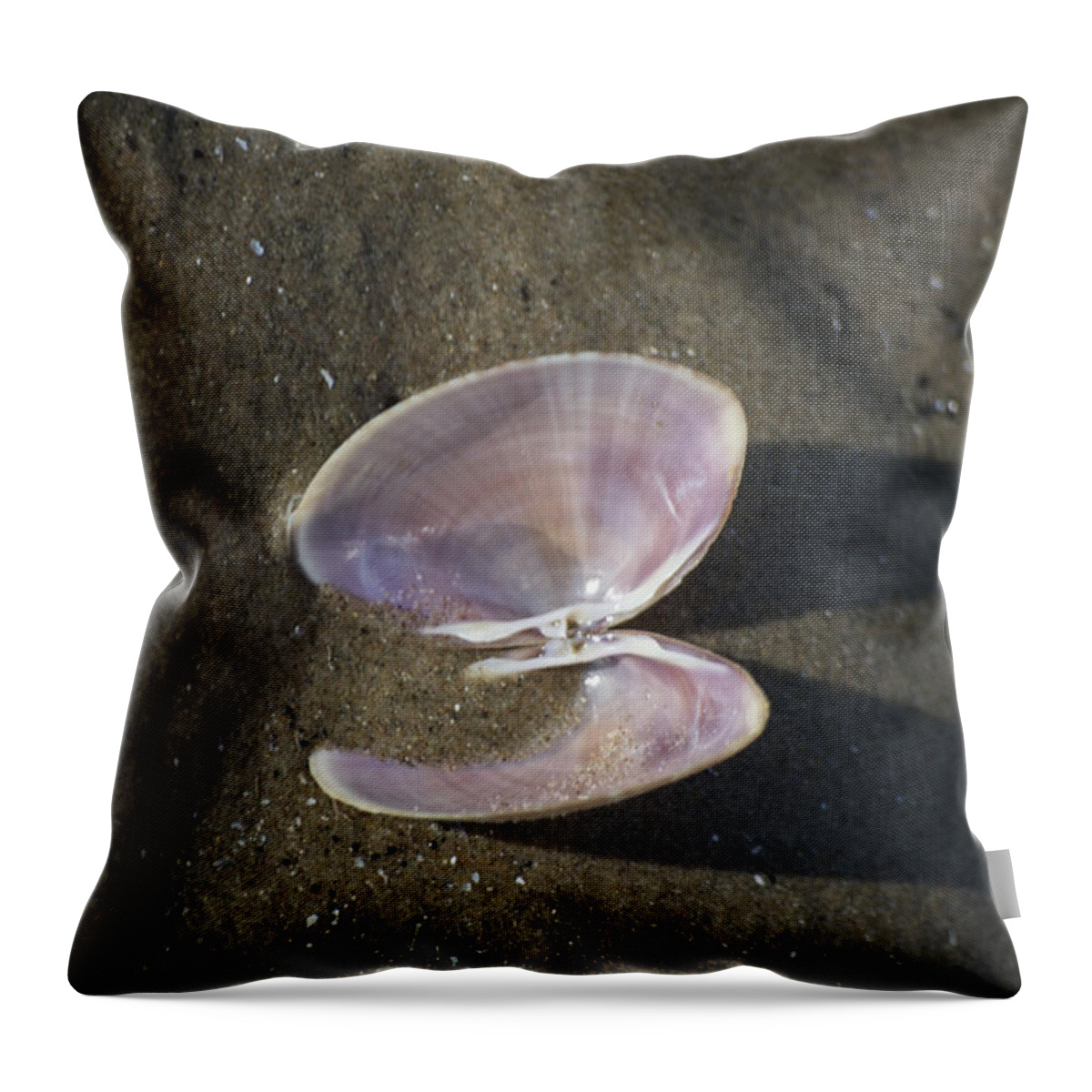 Sea Shell Throw Pillow featuring the photograph Angel Wings by Spikey Mouse Photography