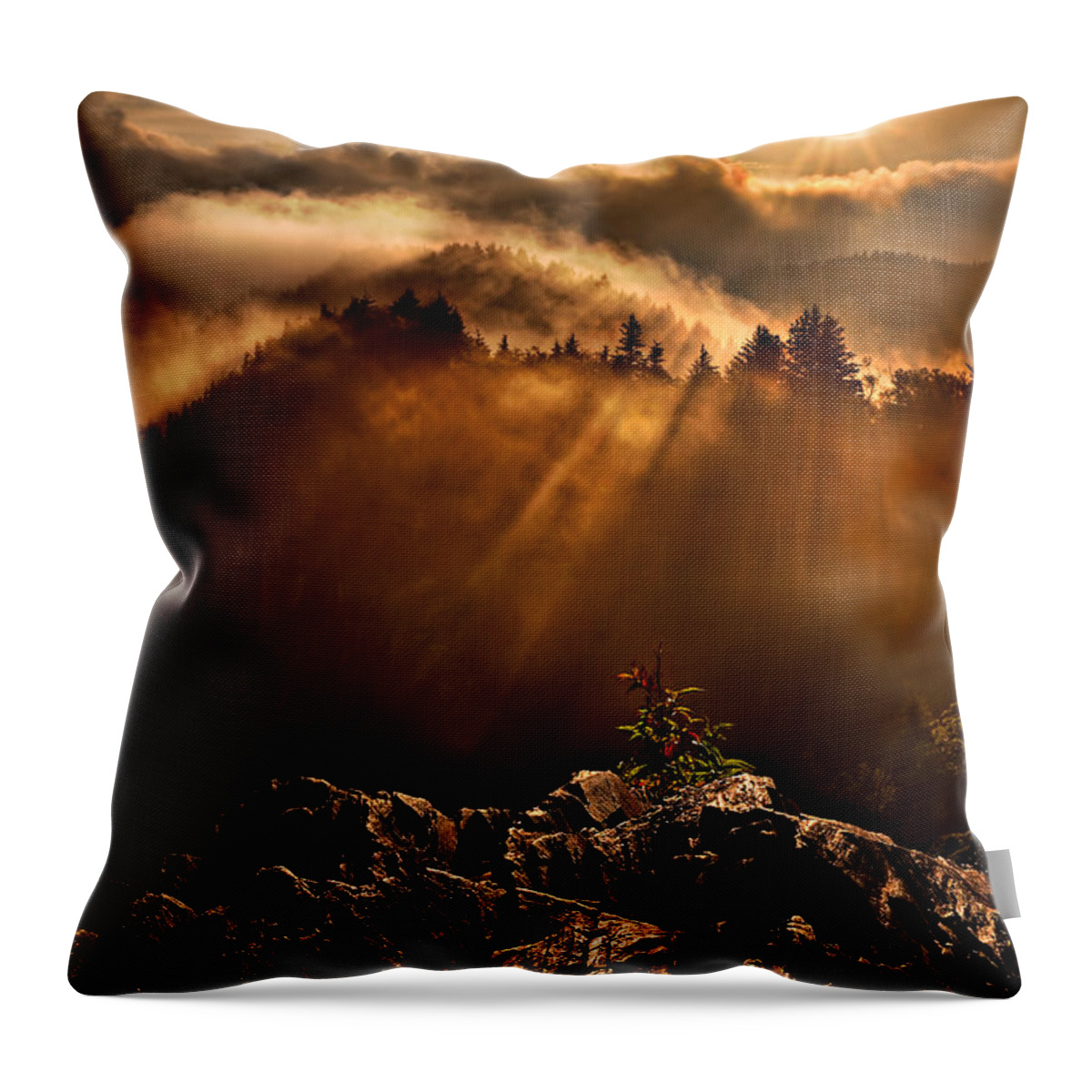 2011 Throw Pillow featuring the photograph Appalachian Dawn by Robert Charity