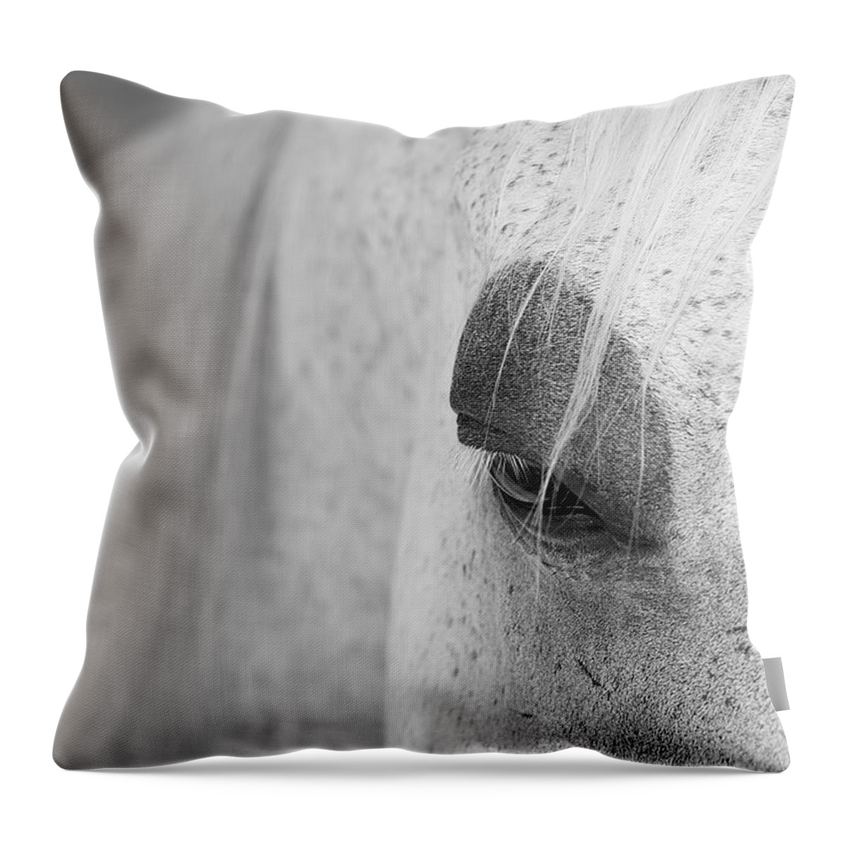 Animals Throw Pillow featuring the photograph Appaloosa Eye by Mary Lee Dereske
