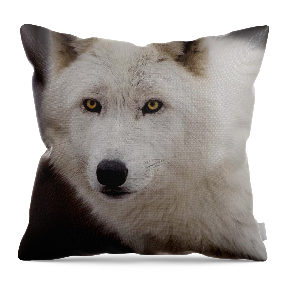 Artic Wolf Throw Pillow featuring the photograph Artic Wolf by GeeLeesa Productions