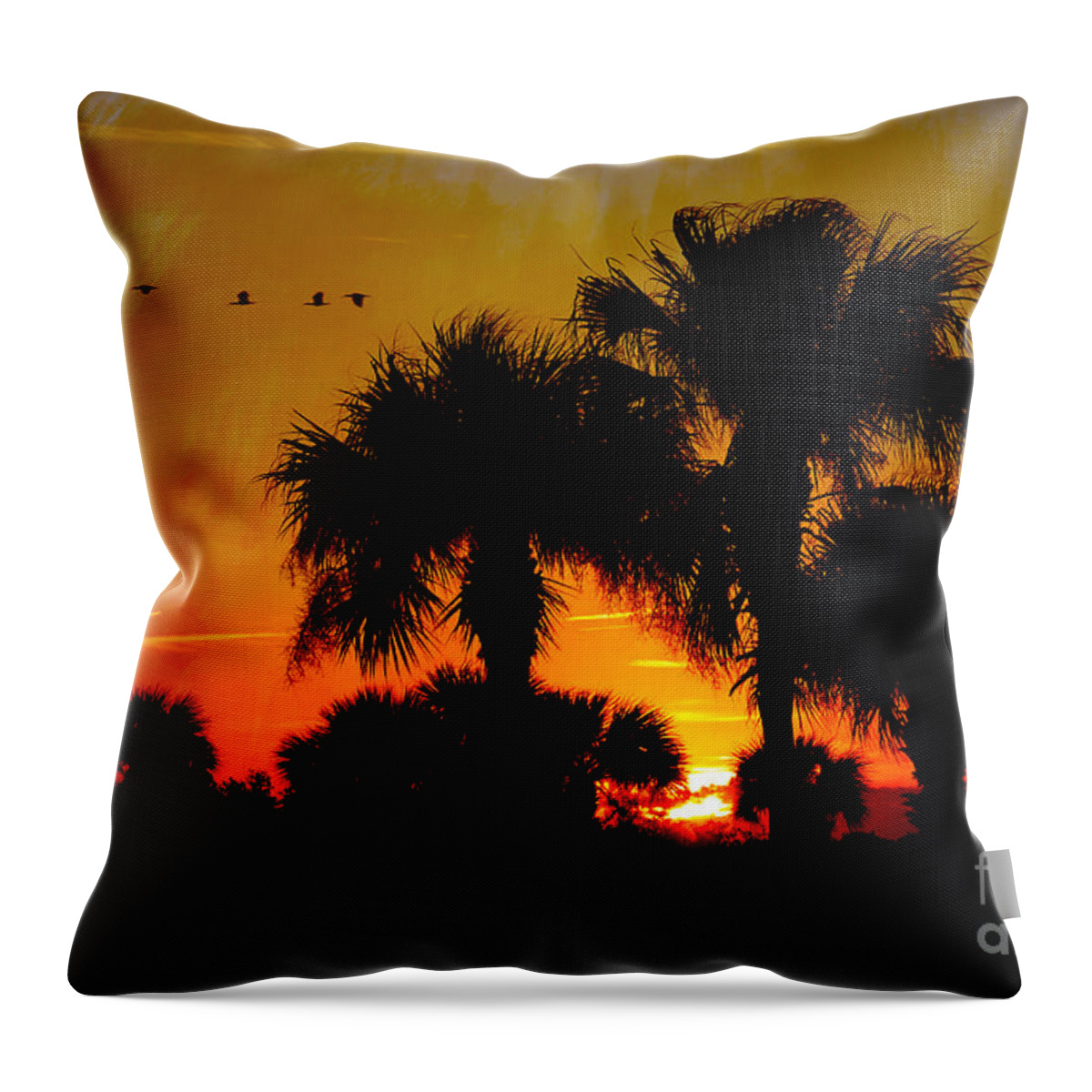 Sunset Throw Pillow featuring the digital art Artistic Florida Sunset by Jayne Carney