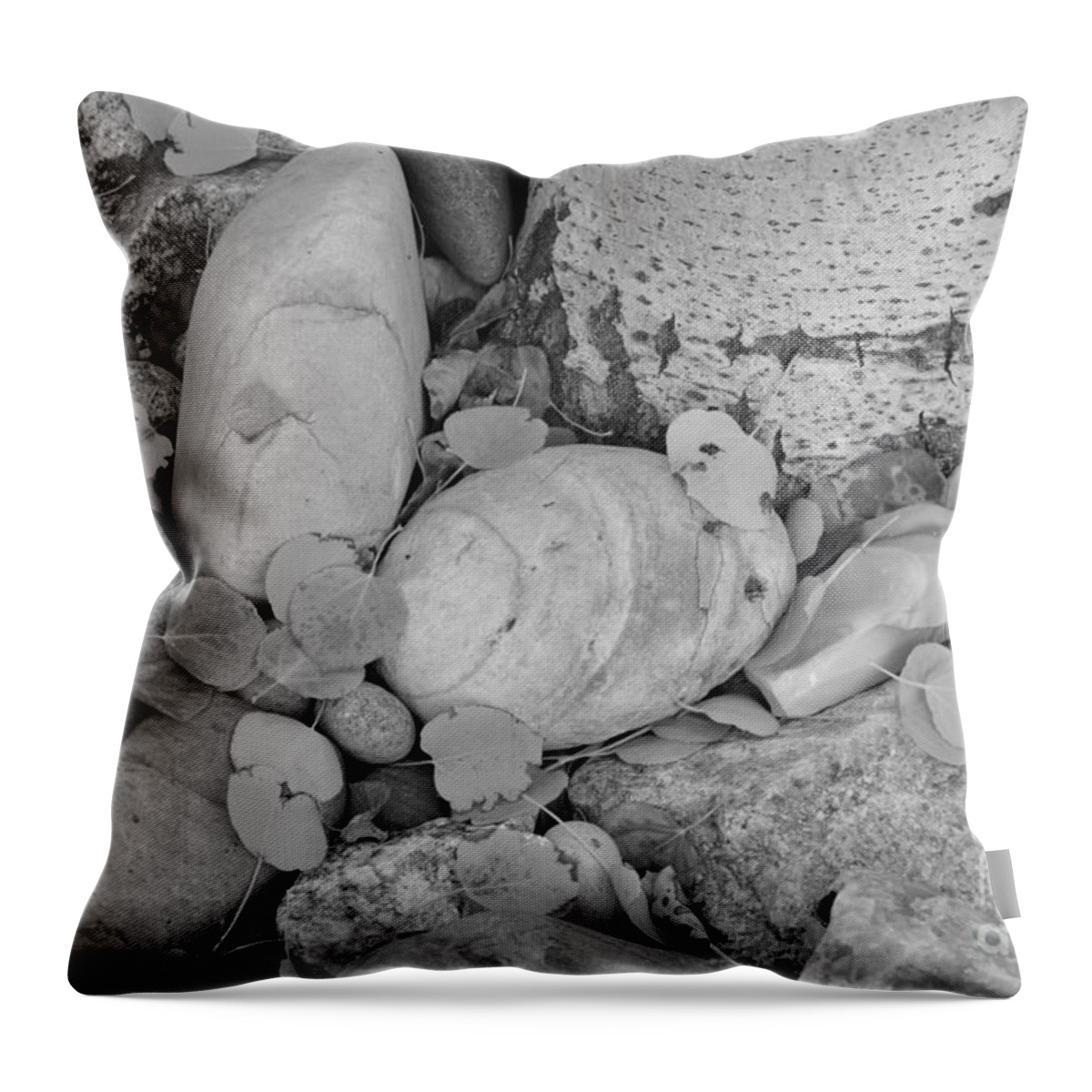 Aspen Throw Pillow featuring the photograph Aspen Leaves on the Rocks - black and white by Dorrene BrownButterfield