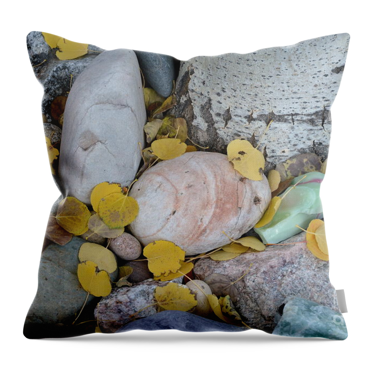 Aspen Throw Pillow featuring the photograph Aspen Leaves on the Rocks by Dorrene BrownButterfield