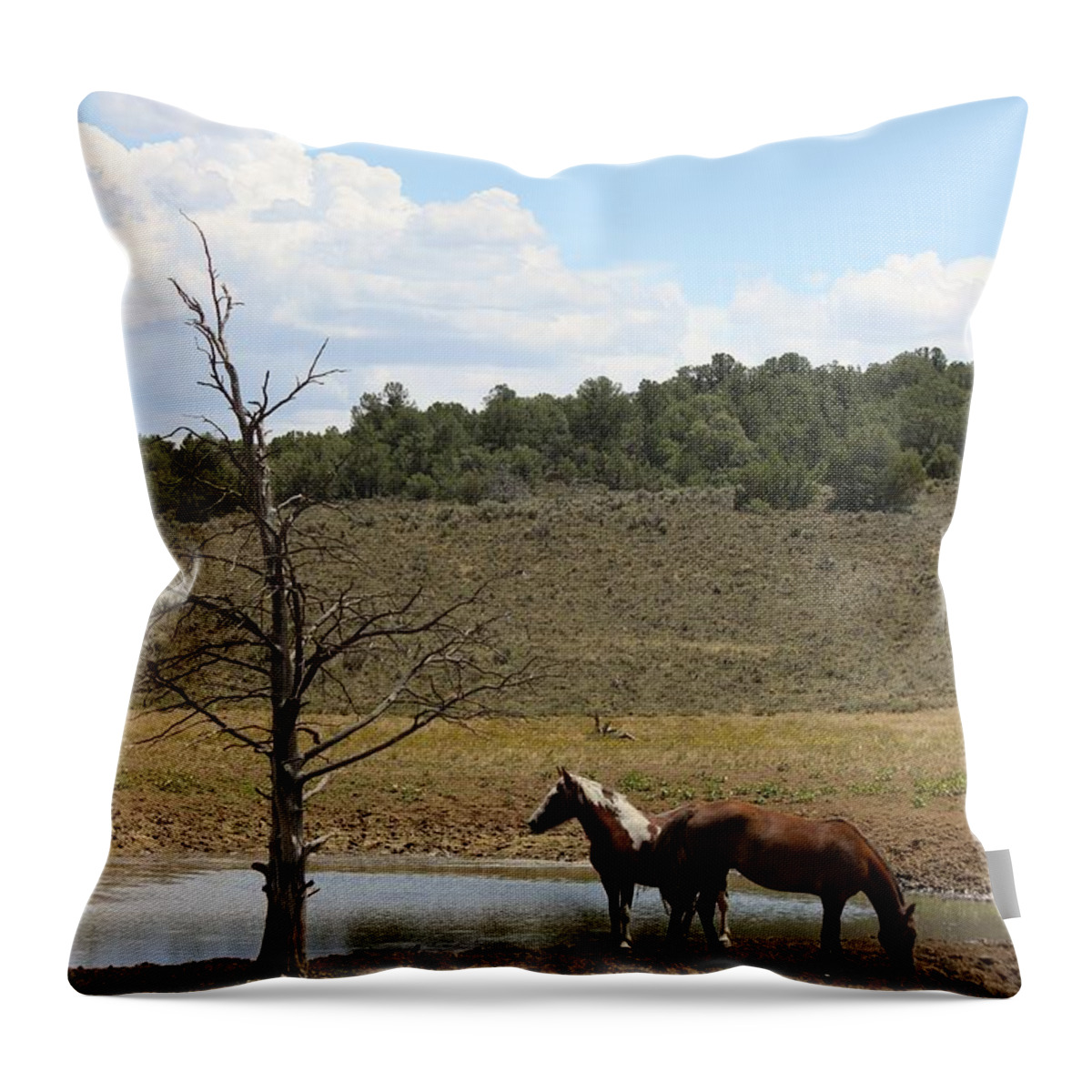 Horse Throw Pillow featuring the photograph At the Watering Hole by Veronica Batterson