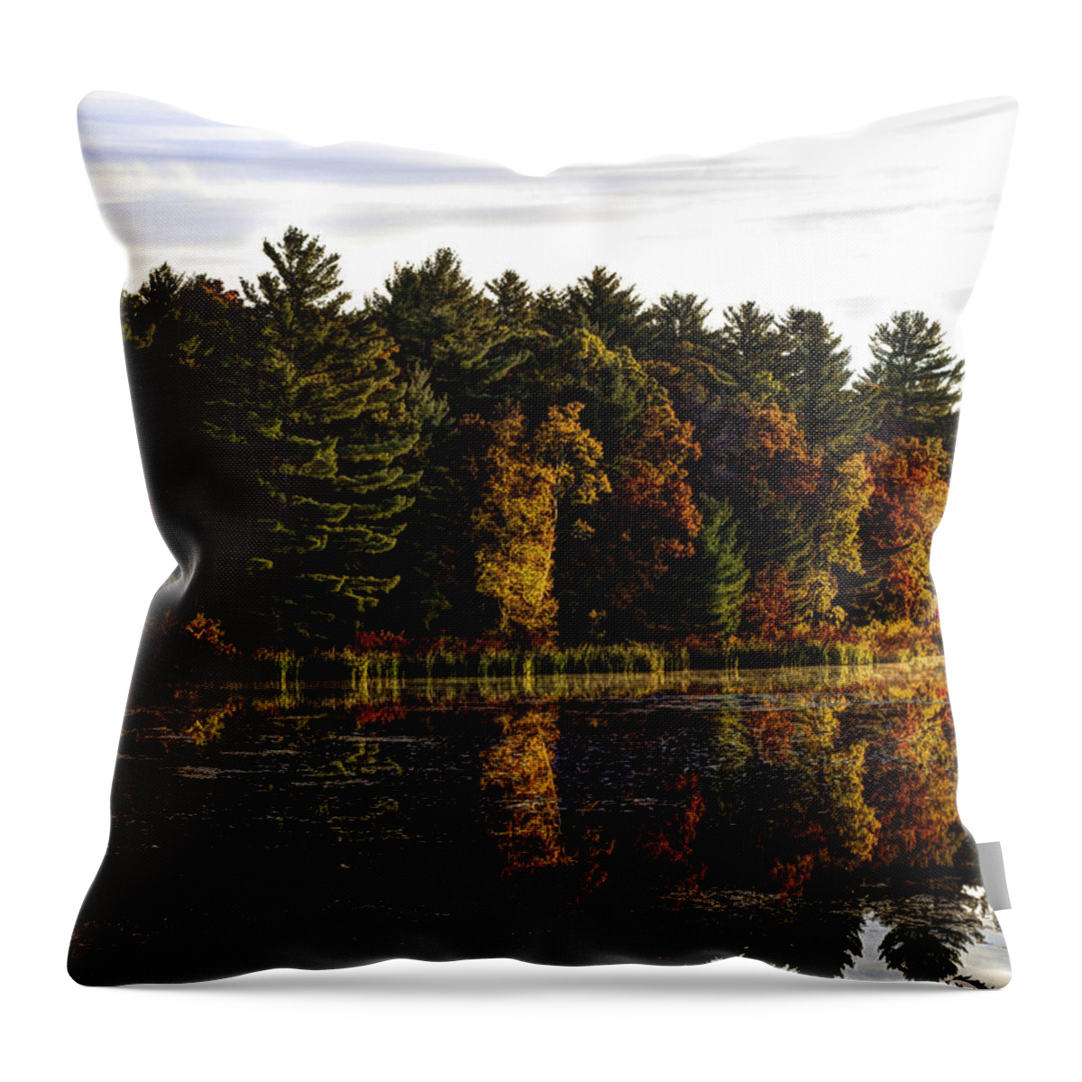 Autumn Throw Pillow featuring the photograph Autumn At It's Finest 2 by Thomas Young