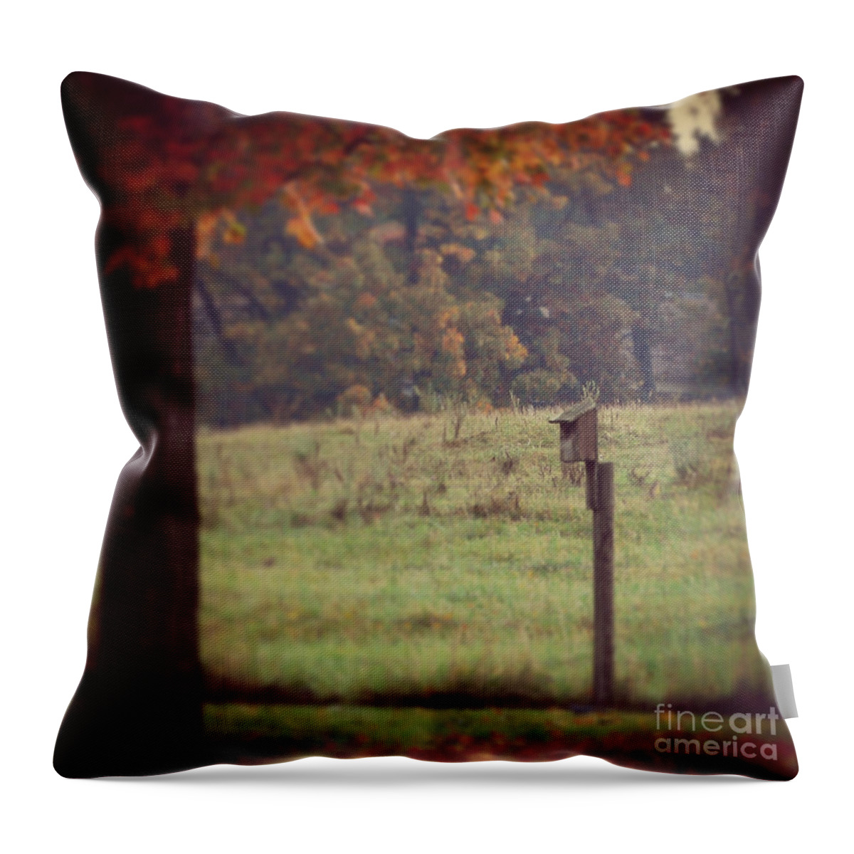 Autumn Throw Pillow featuring the photograph Autumn Birdhouse by Kerri Farley