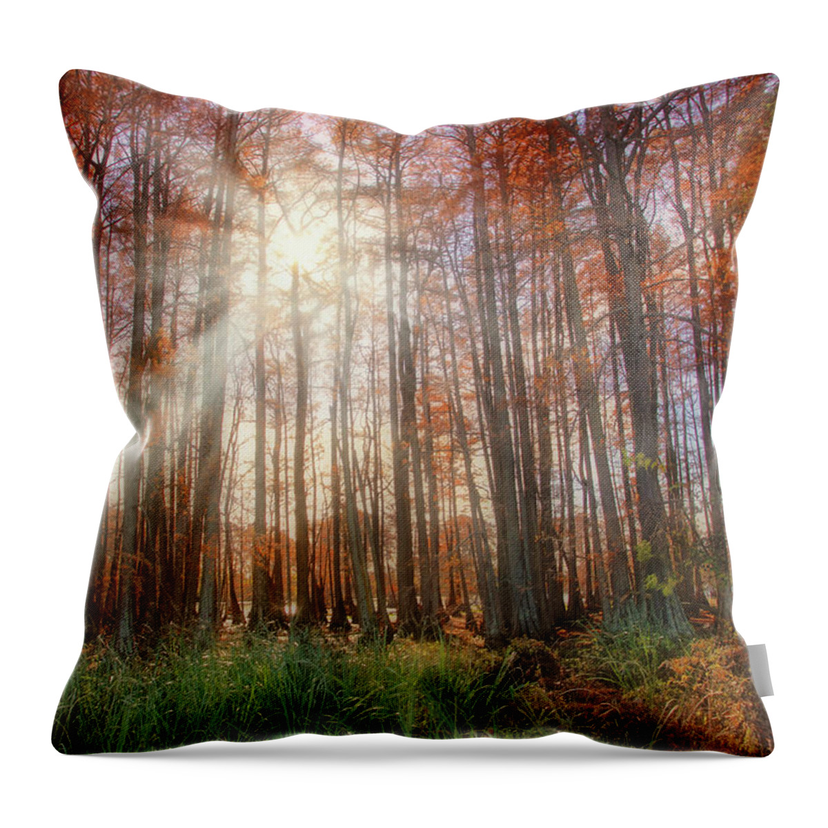 Autumn Throw Pillow featuring the photograph Autumn Cypress - Fall - Trees by Jason Politte