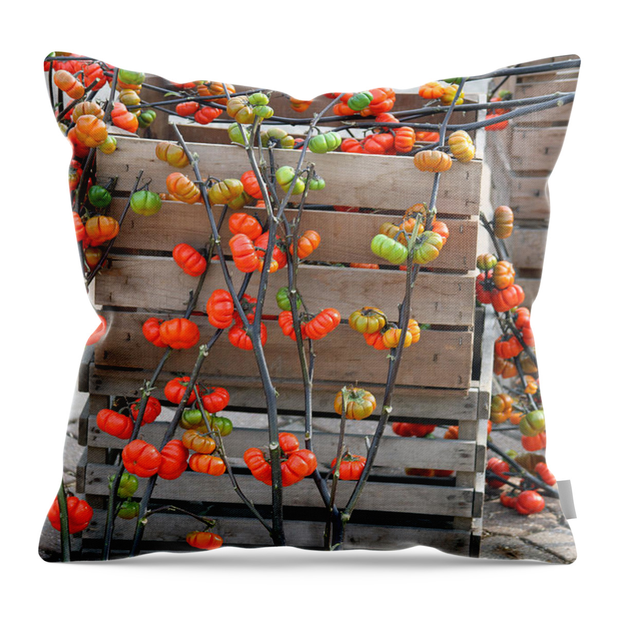 Tomato Throw Pillow featuring the photograph Autumn Decorations by Jackson Pearson
