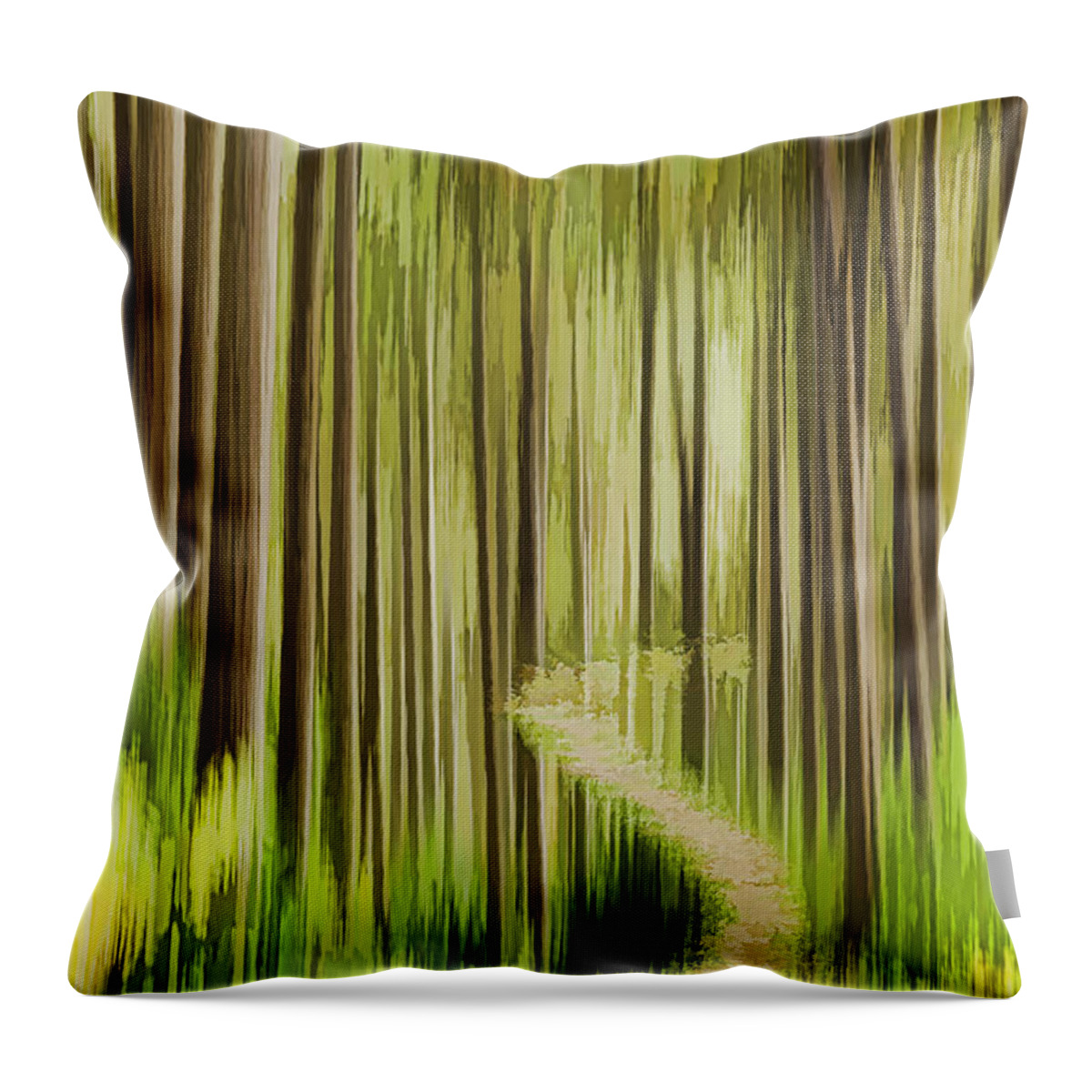 Forest Throw Pillow featuring the photograph Autumn Forest Abstract Version 3 by Thomas Young