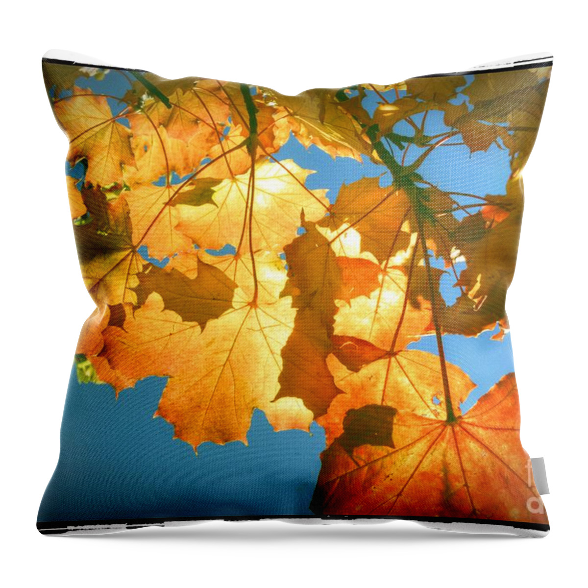 Autumn Throw Pillow featuring the photograph Autumn Found by Spikey Mouse Photography