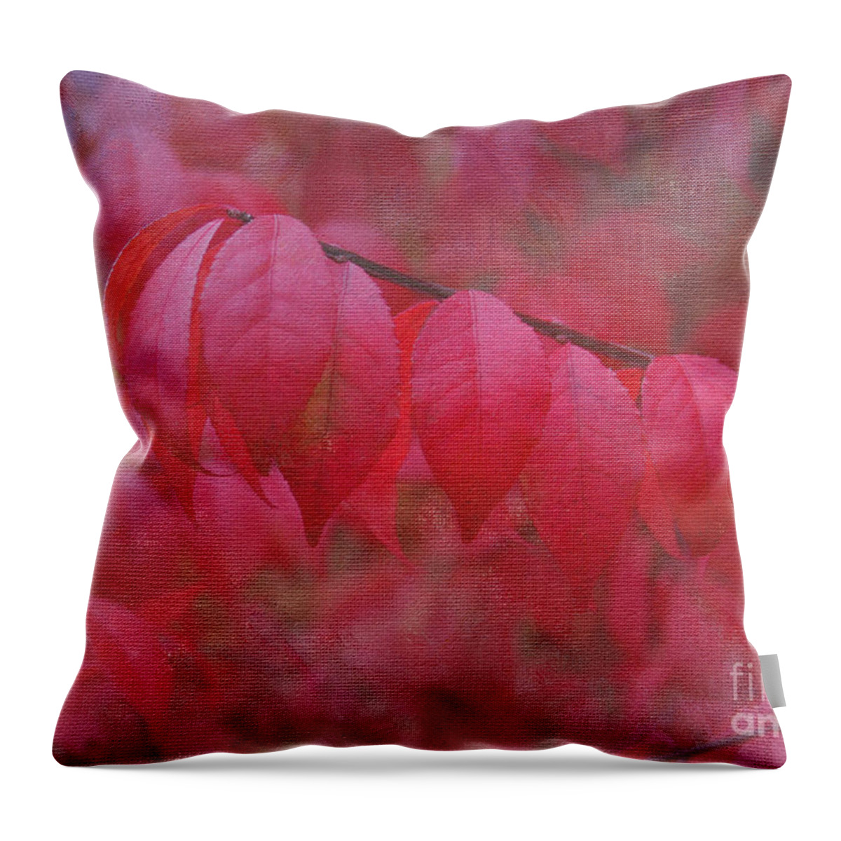 Autumn Throw Pillow featuring the photograph Autumn Glory by Jayne Carney