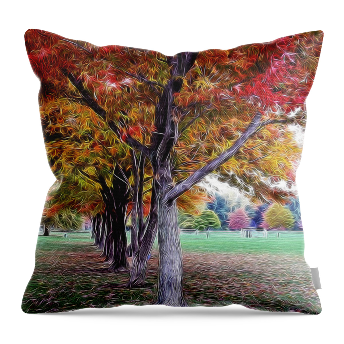 Autumn Throw Pillow featuring the photograph Autumn In Swirls by Jackson Pearson