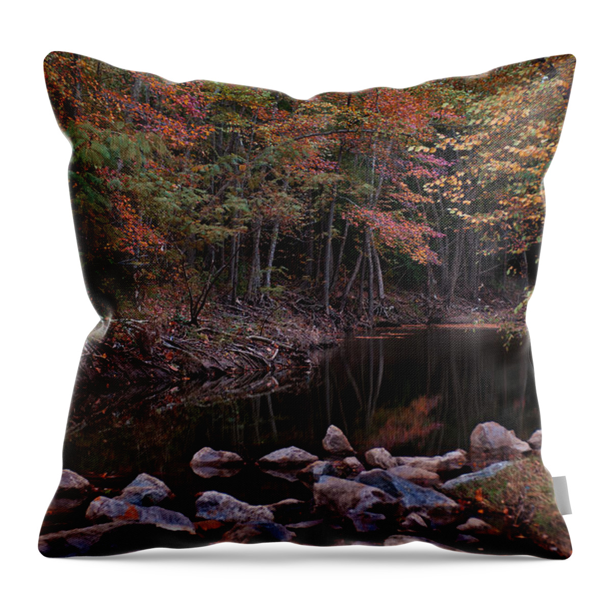 Autumn Throw Pillow featuring the photograph Autumn Leaves Reflecting In the Stream by Todd Aaron