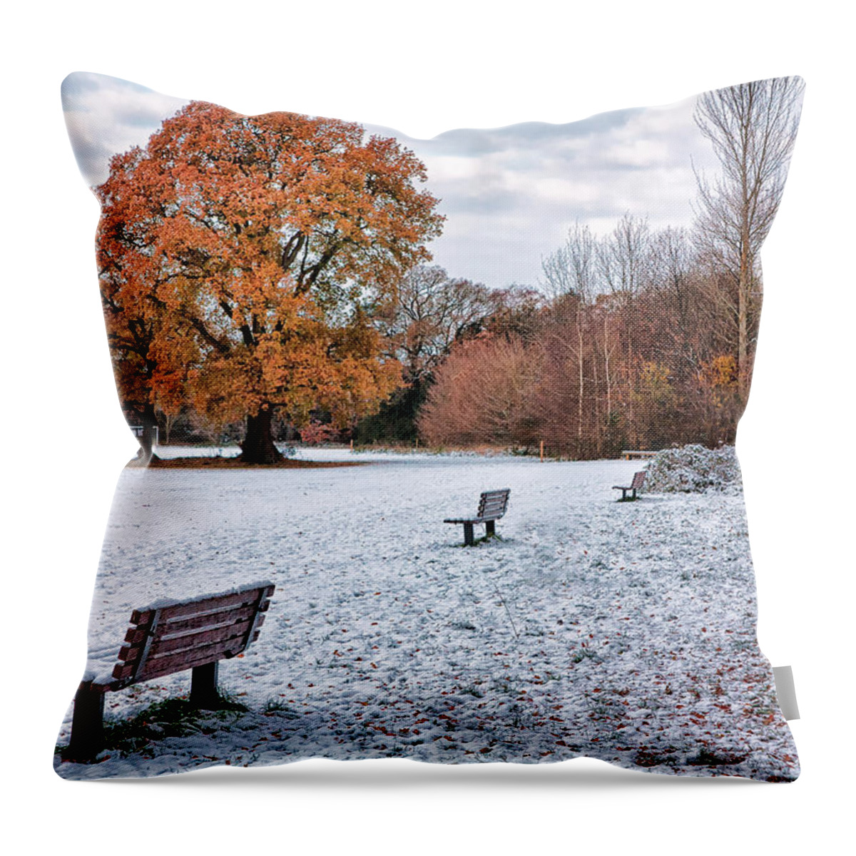 Shirley Mitchell Throw Pillow featuring the photograph Autumn meet Winter by Shirley Mitchell