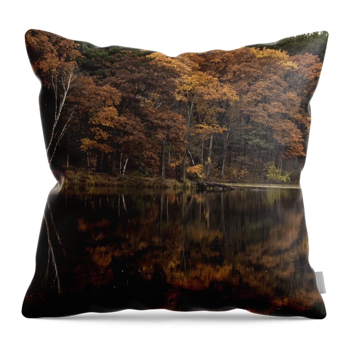Autumn Throw Pillow featuring the photograph Autumn On the Point by Thomas Young