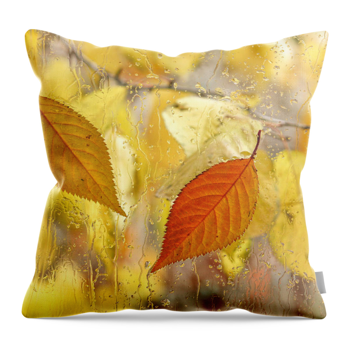 Fall Leaves Throw Pillow featuring the photograph Autumn Romance by Marina Kojukhova