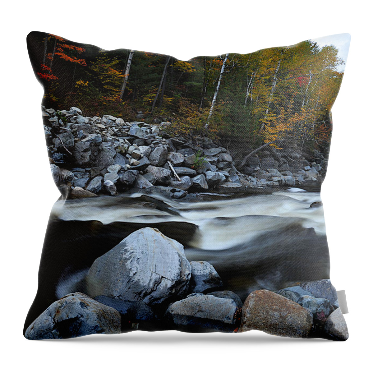 Photo Throw Pillow featuring the photograph Autumn Silk by Richard Gehlbach