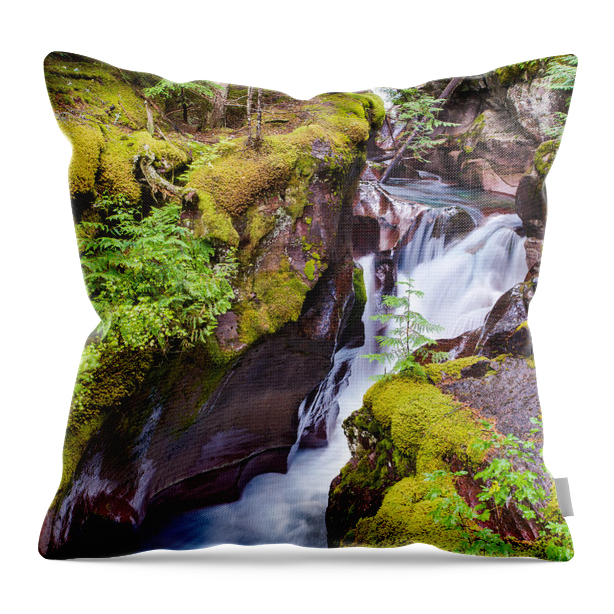 Glacier National Park Throw Pillow featuring the photograph Avalanche Gorge 3 of 4 by Adam Mateo Fierro