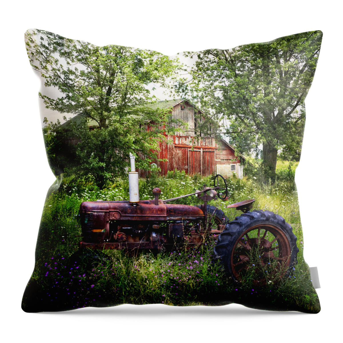 Barn Throw Pillow featuring the photograph Back to Nature by Debra and Dave Vanderlaan
