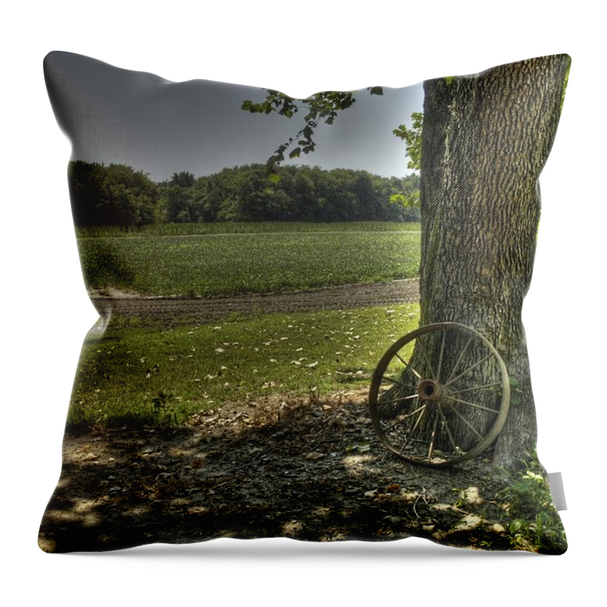 Brandywine Throw Pillow featuring the photograph Balance by DArcy Evans