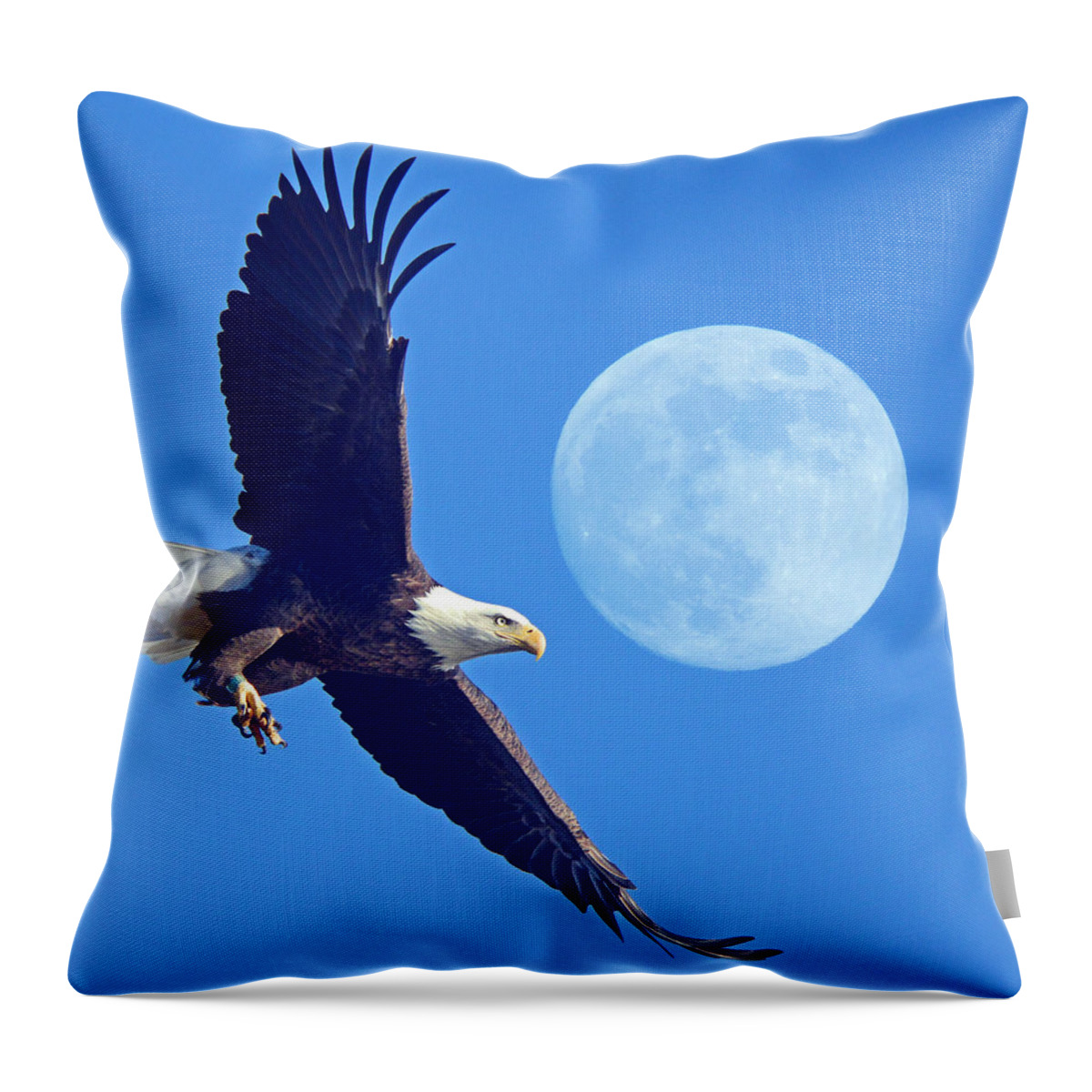 Bald Eagle And Full Moon Throw Pillow featuring the photograph Bald Eagle and Full Moon by Raymond Salani III