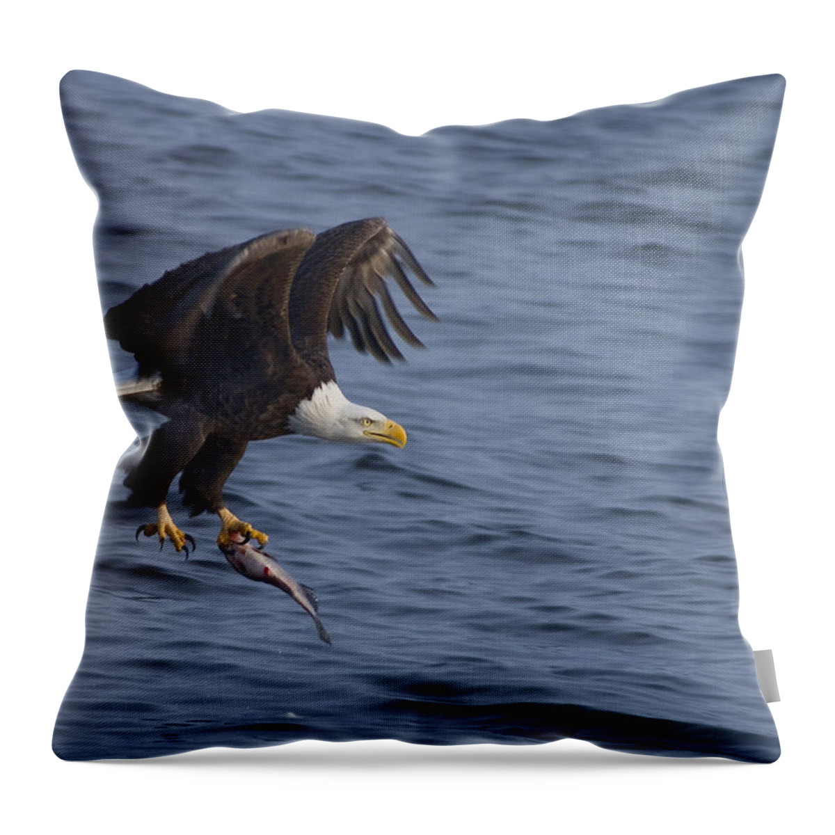 Bald Throw Pillow featuring the photograph Bald Eagle with a Fish by Larry Bohlin