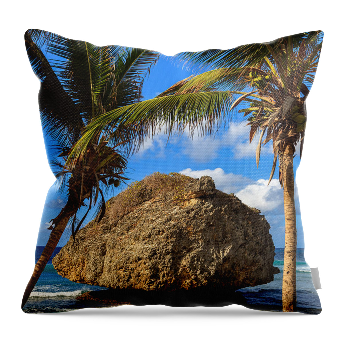 Barbados Throw Pillow featuring the photograph Barbados Beach by Raul Rodriguez