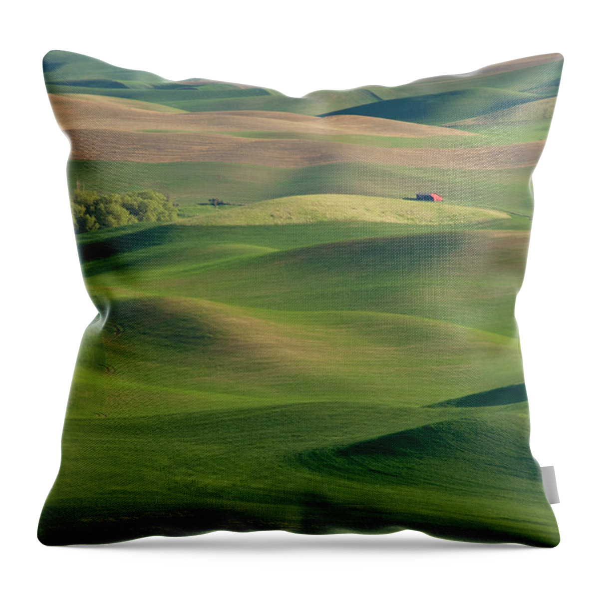 Palouse Throw Pillow featuring the photograph Barn Among the Contours by Mary Lee Dereske