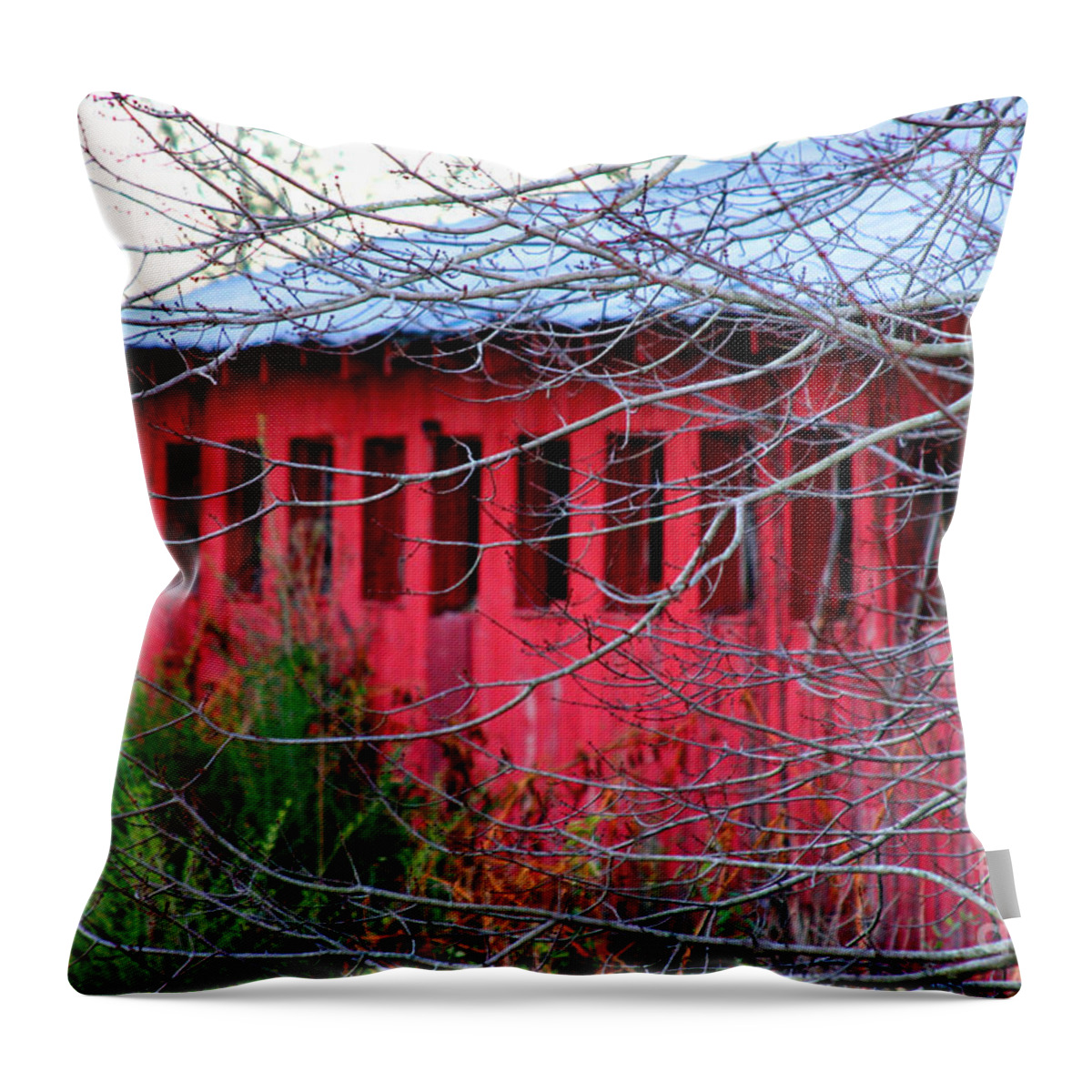Barn Throw Pillow featuring the photograph Barn of Red by Diana Sainz by Diana Raquel Sainz
