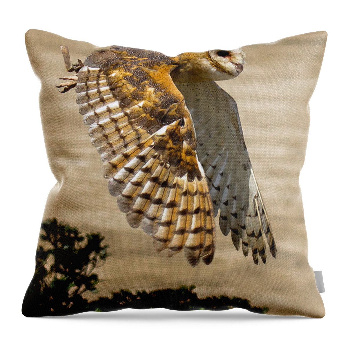 Barn Owl Throw Pillow featuring the photograph Barn Owl by Robert L Jackson