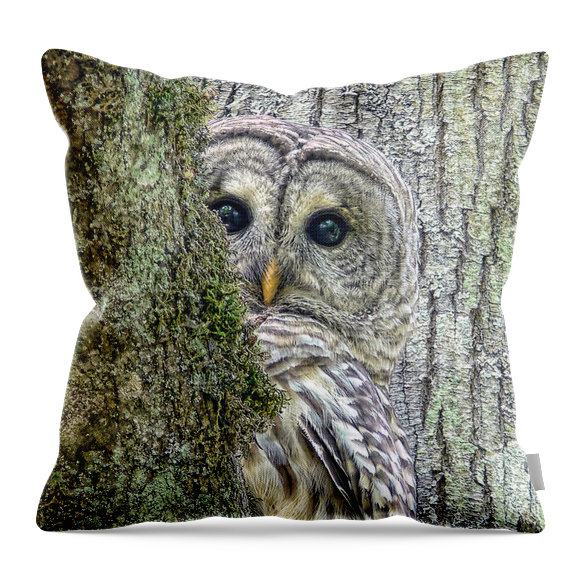 Owl Throw Pillow featuring the photograph Barred Owl Peek a Boo by Jennie Marie Schell