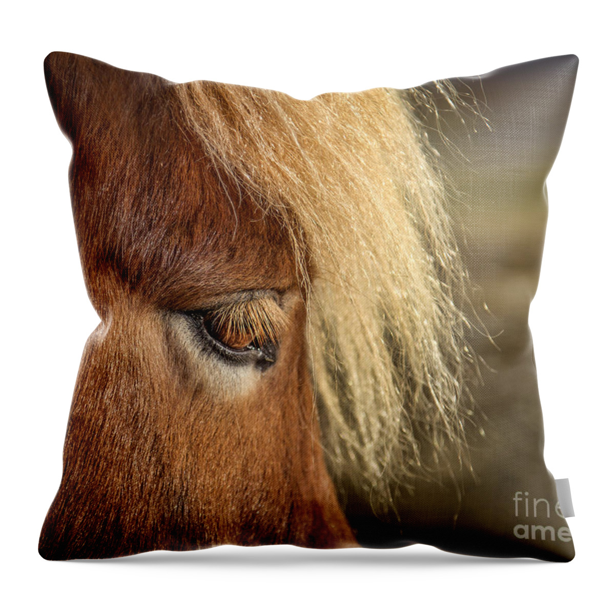 Iceland Throw Pillow featuring the photograph Be A Light To Yourself by Evelina Kremsdorf