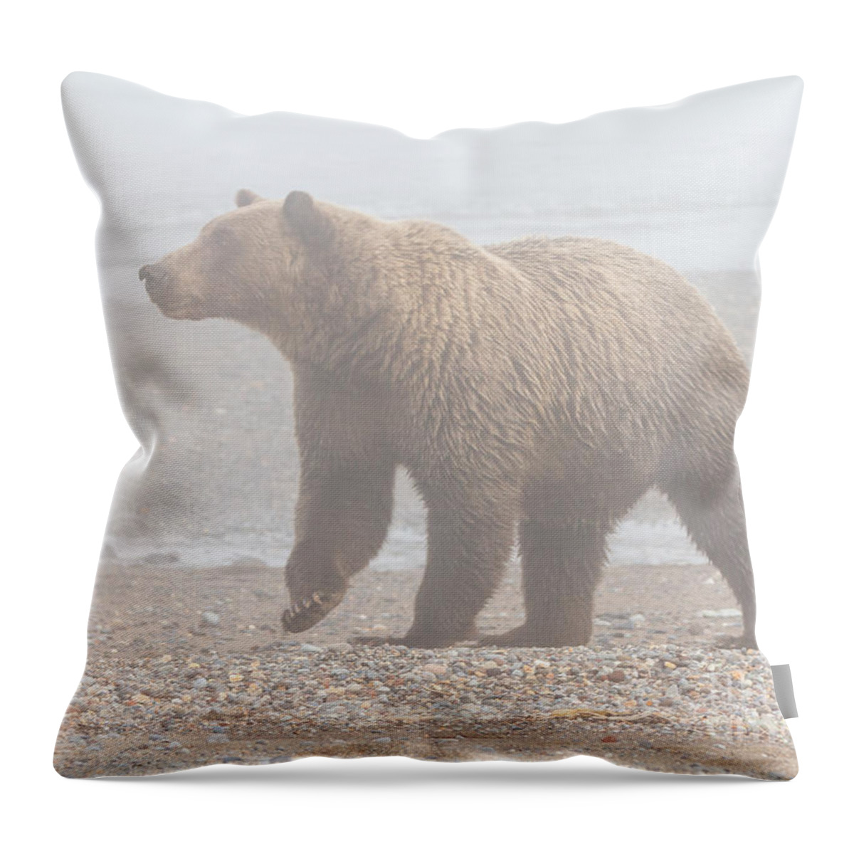 Bear Throw Pillow featuring the photograph Bear in Fog by Chris Scroggins