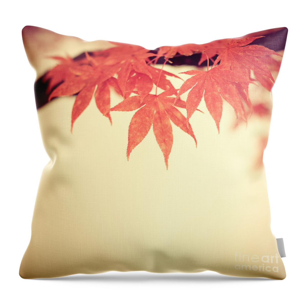 Autumn Throw Pillow featuring the photograph Beautiful Fall by Hannes Cmarits