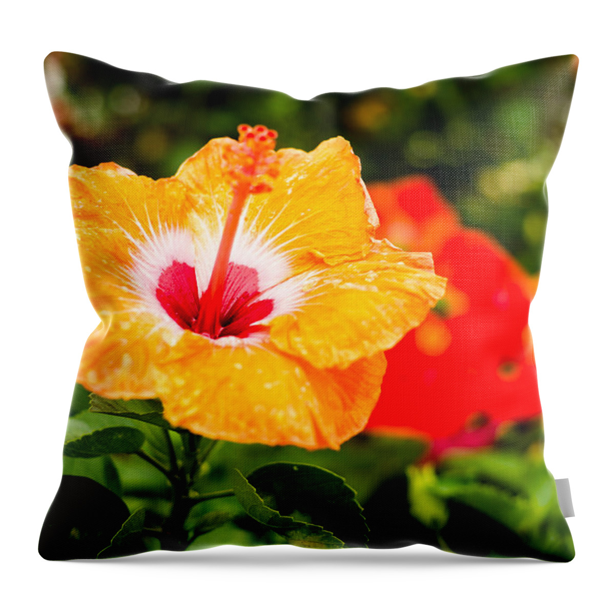 Beautiful Throw Pillow featuring the photograph Beautiful Hibiscus by Raul Rodriguez
