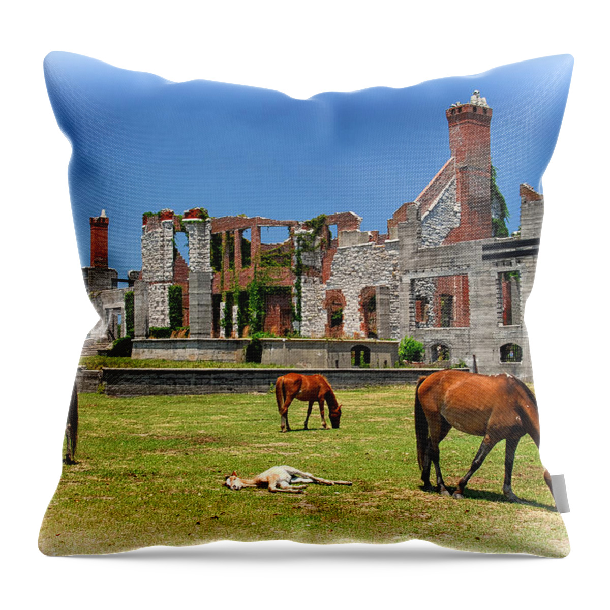 Crystal Yingling Throw Pillow featuring the photograph Beauty in the Ruins by Ghostwinds Photography