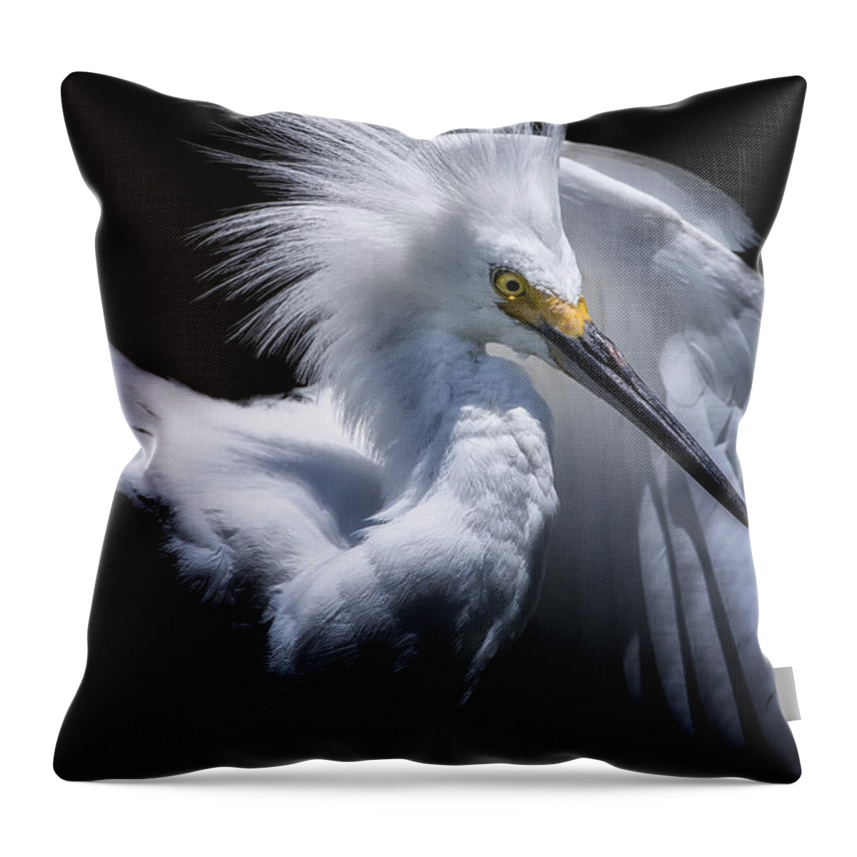Crystal Yingling Throw Pillow featuring the photograph Behind the Curtain by Ghostwinds Photography