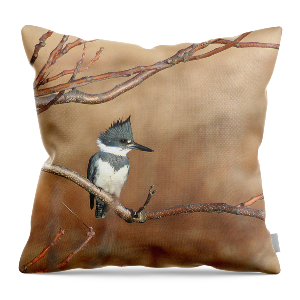 Wildlife Throw Pillow featuring the pyrography Belted Kingfisher by William Selander
