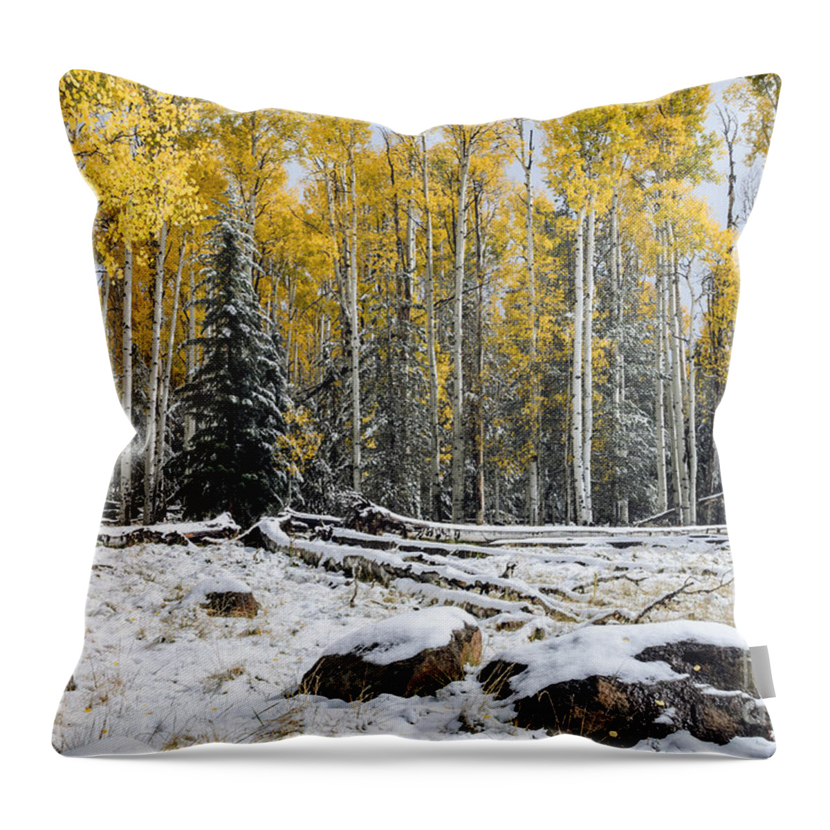 Arizona Throw Pillow featuring the photograph Between Seasons by Tamara Becker