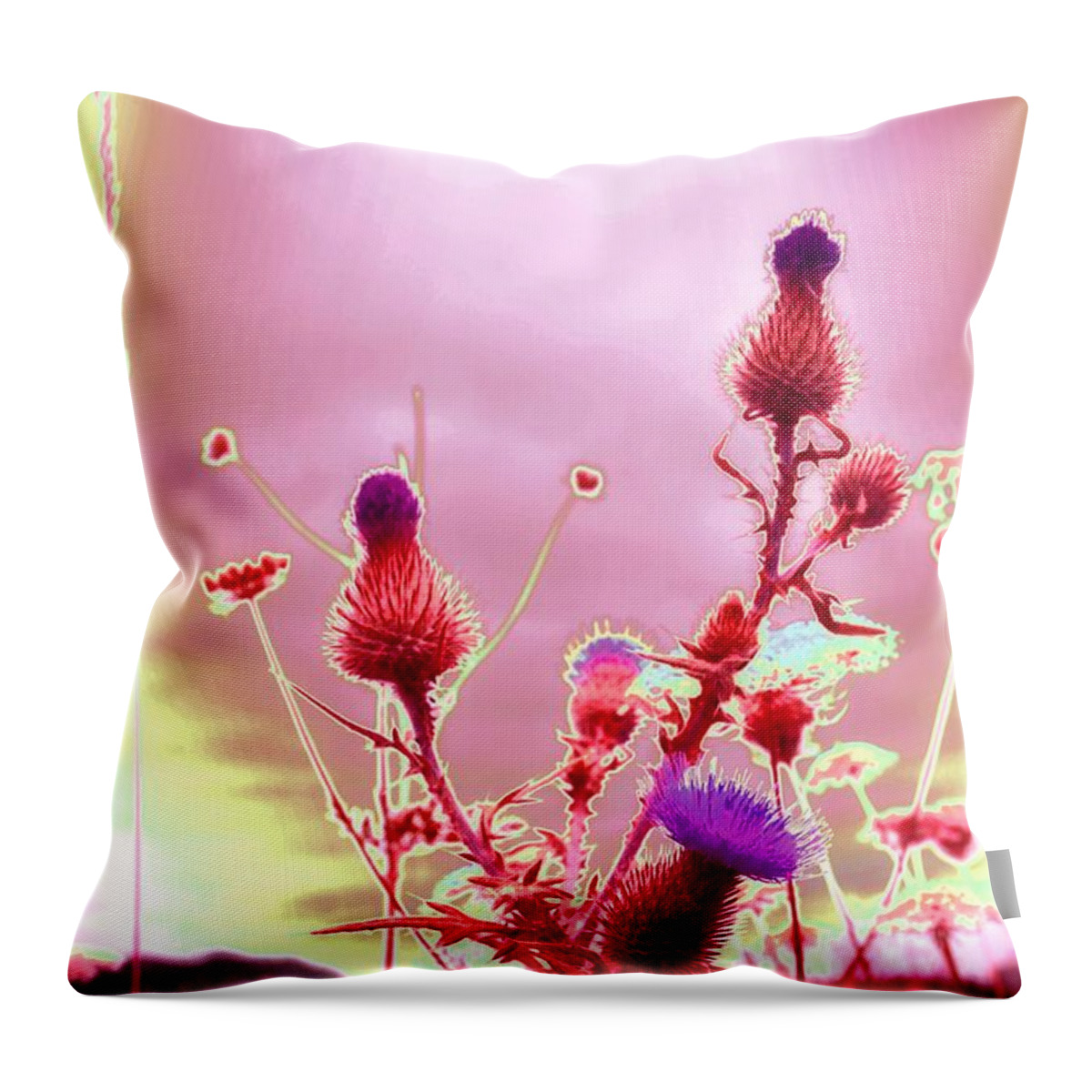 Thistle Throw Pillow featuring the photograph Bewitching Triad by Laureen Murtha Menzl