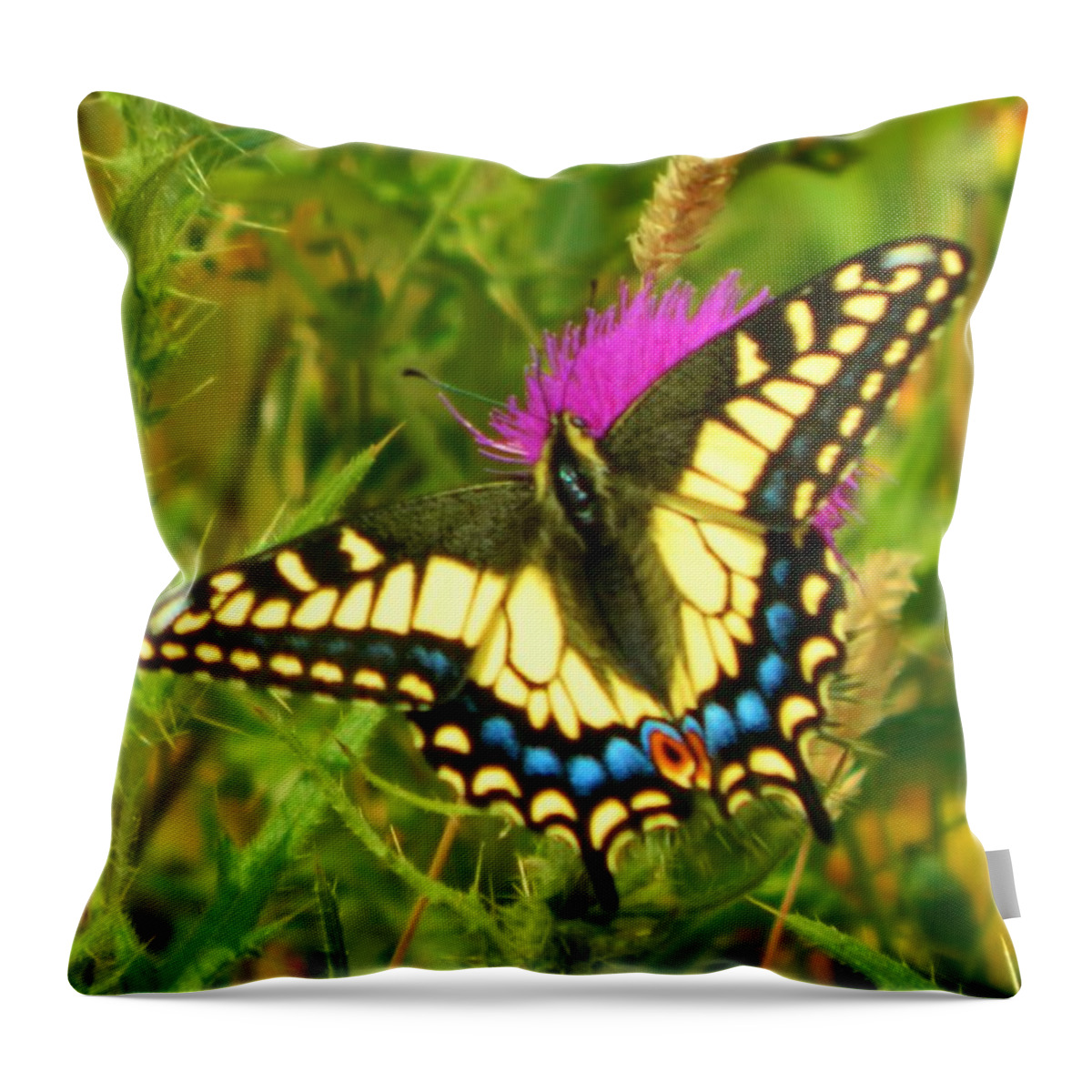 Landscape Throw Pillow featuring the photograph Big Beautiful Butterfly by Gallery Of Hope 