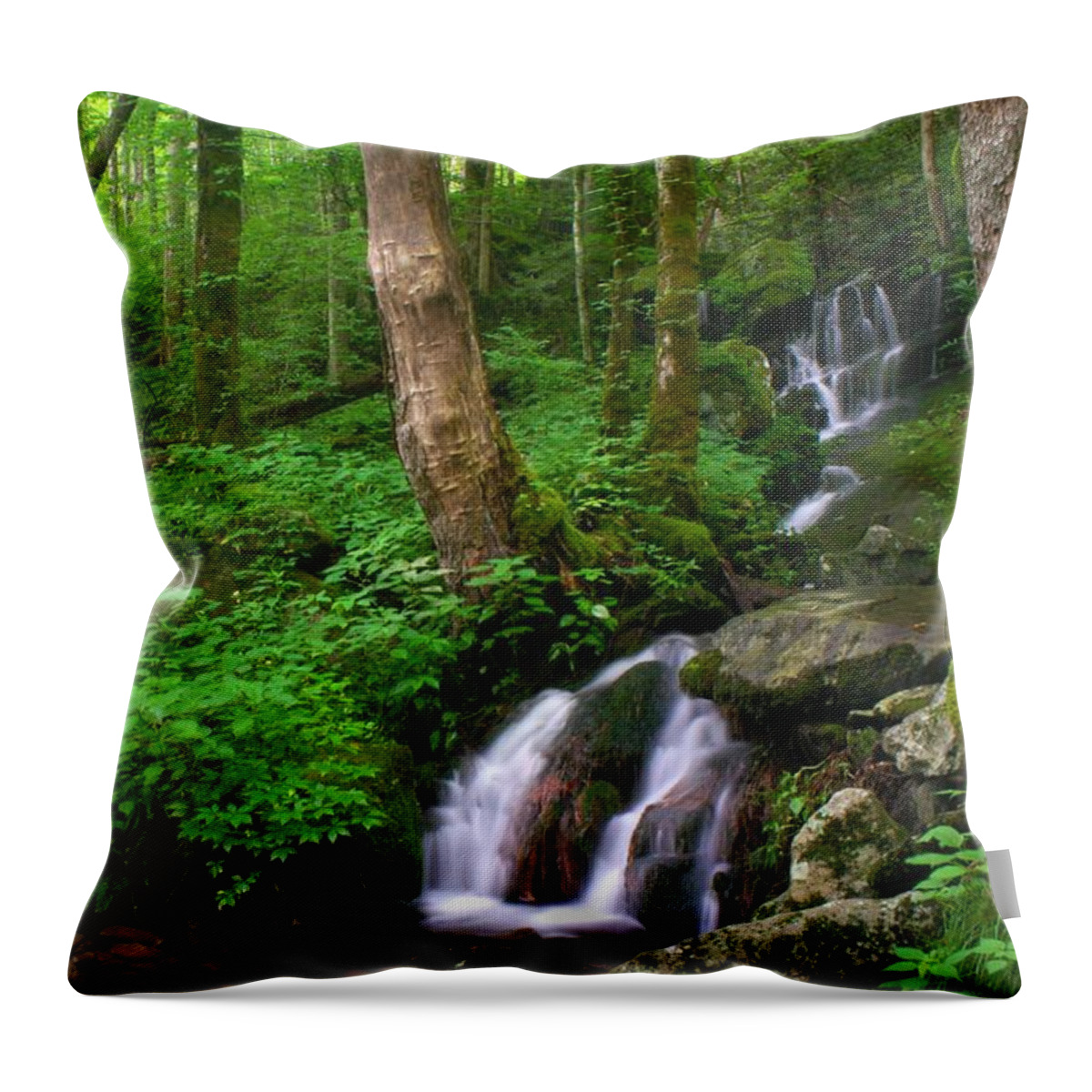 Nunweiler Throw Pillow featuring the photograph Big Hollow Creek Cascade by Nunweiler Photography