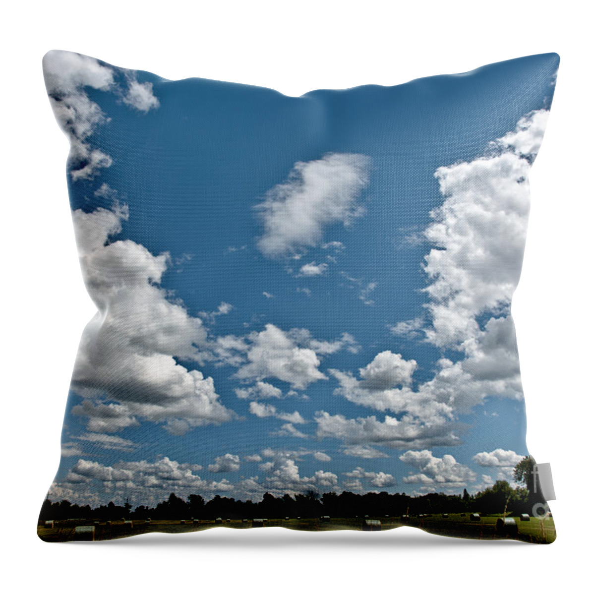 Sky Throw Pillow featuring the photograph Big Sky by Cheryl Baxter