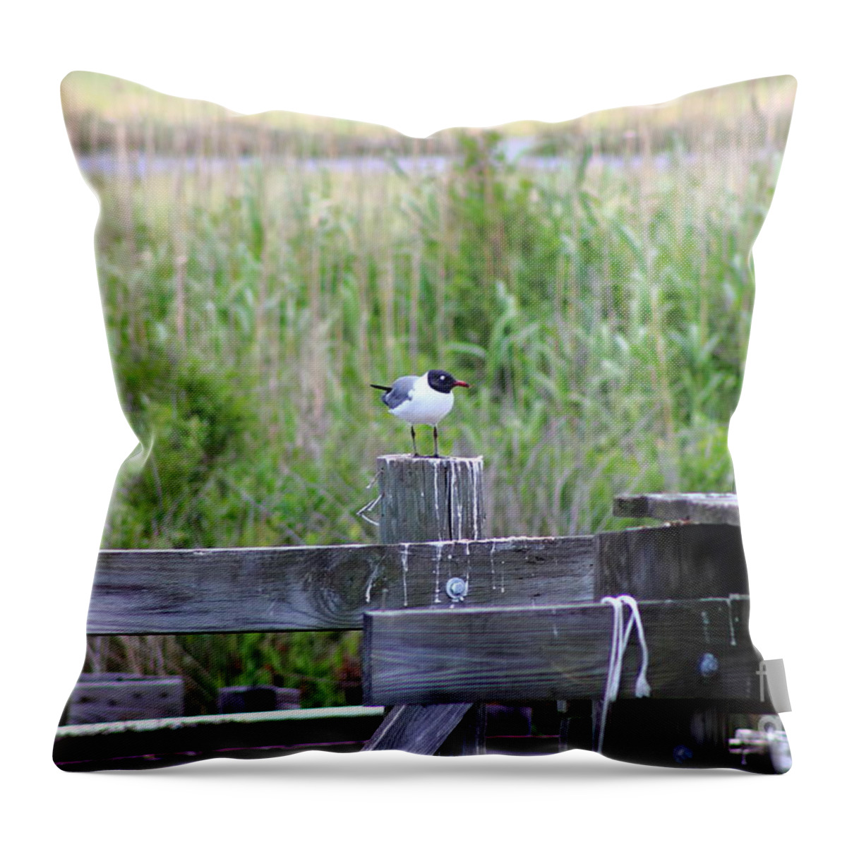 Bird Throw Pillow featuring the photograph Bird on Bayou Post by Andre Turner