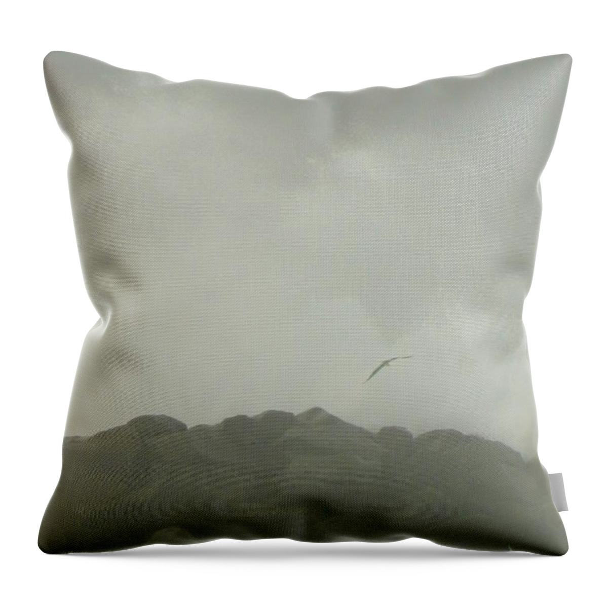 Seagull Throw Pillow featuring the photograph Bird Splash by Gallery Of Hope 