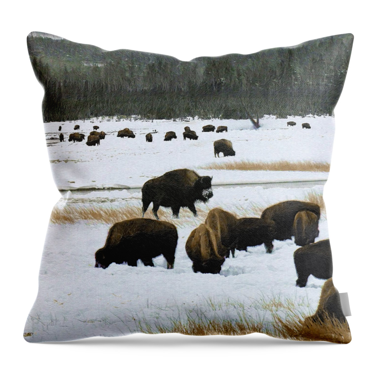 Wild Bison Throw Pillow featuring the mixed media Bison Cows Browsing by Kae Cheatham