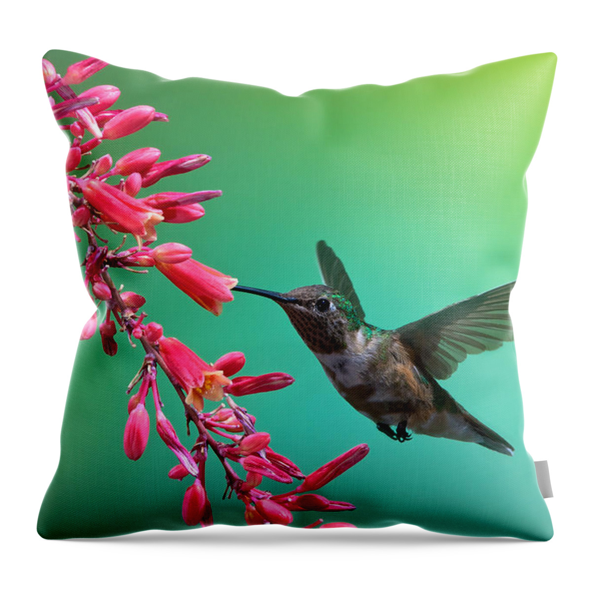 Archilochus Alexandri Throw Pillow featuring the photograph Black Chinned Hummingbird by Mary Lee Dereske
