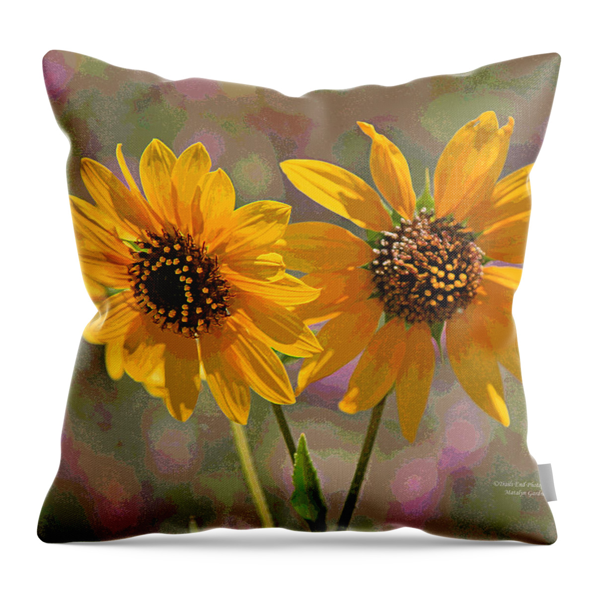  Throw Pillow featuring the photograph Black-eyed Susan by Matalyn Gardner