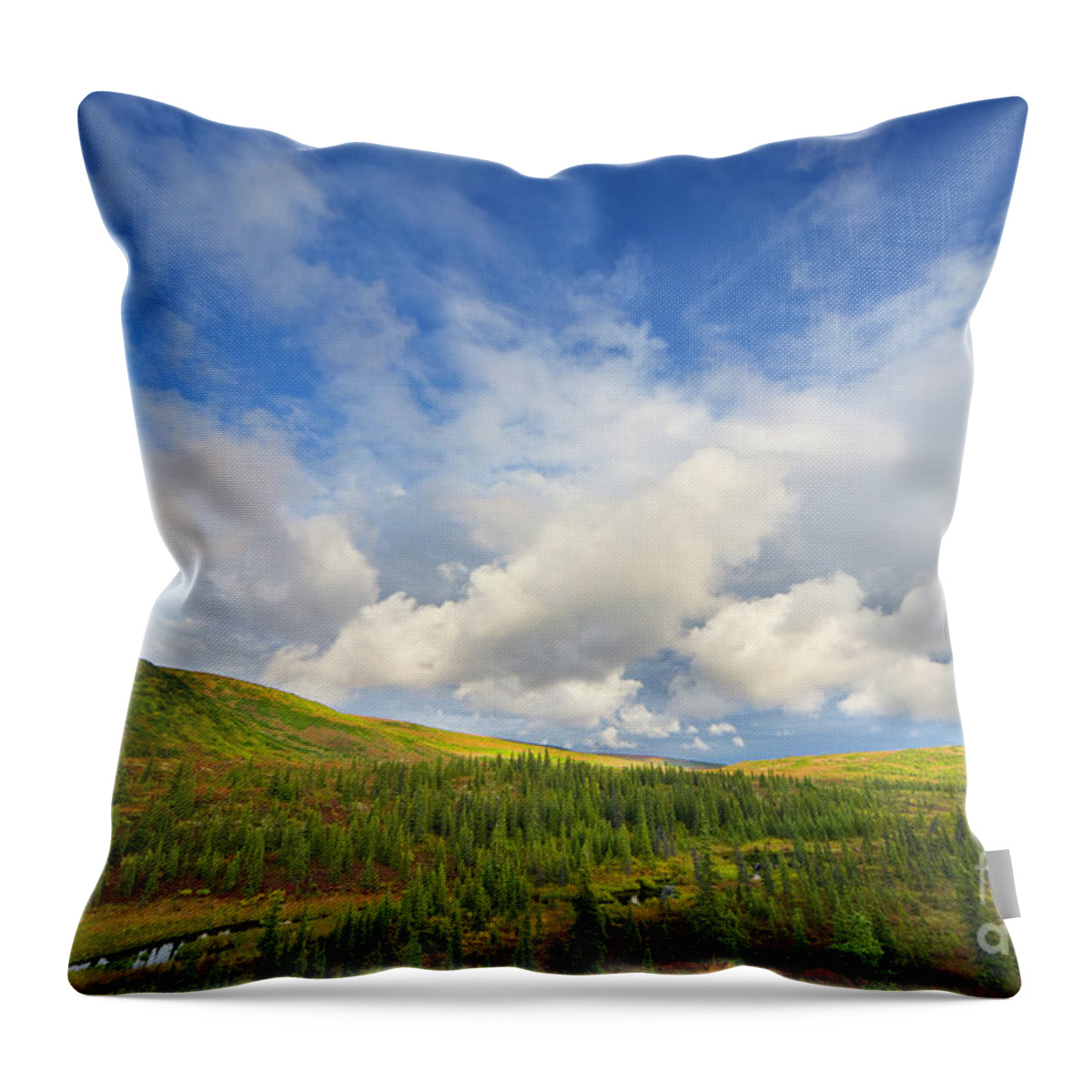 00431045 Throw Pillow featuring the photograph Black Spruce on Fall Tundra by Yva Momatiuk John Eastcott