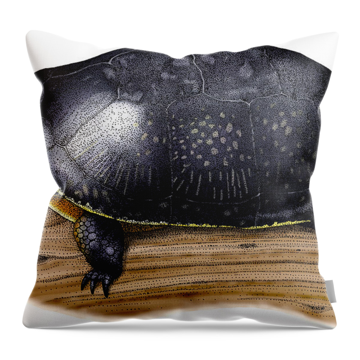 Art Throw Pillow featuring the photograph Blandings Turtle by Roger Hall